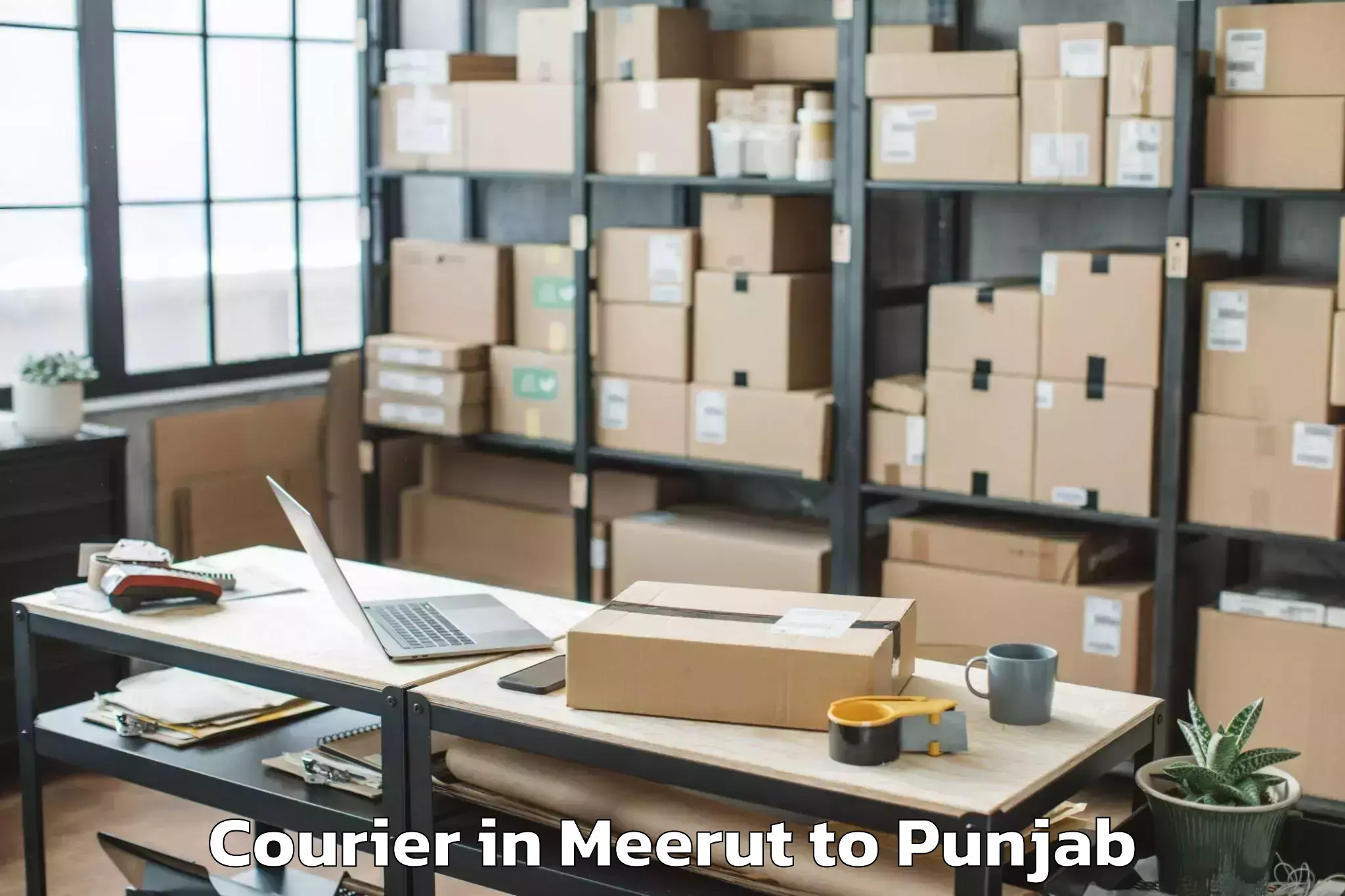 Top Meerut to Sanaur Courier Available